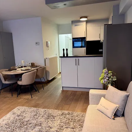 Daire Seacast Oostende 2 Slaapkamers Met Zeezicht En Terras - Centraal In Centrum Gelegen - 100 M Van Het Strand *
